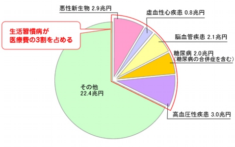 病気の円グラフ.jpg